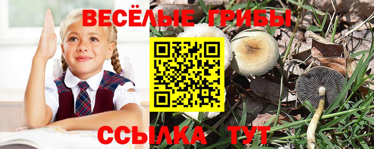 Галлюциногенные грибы мухоморы Азнакаево