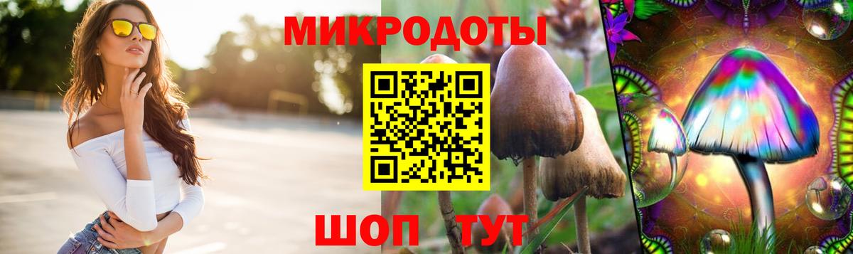 Псилоцибиновые грибы Psilocybine cubensis  Вход с VPN  Азнакаево 